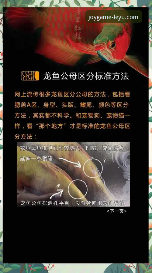 乐鱼官方正版哪个好 5个要点帮你判断乐鱼官方正版哪个好——实战经验分享